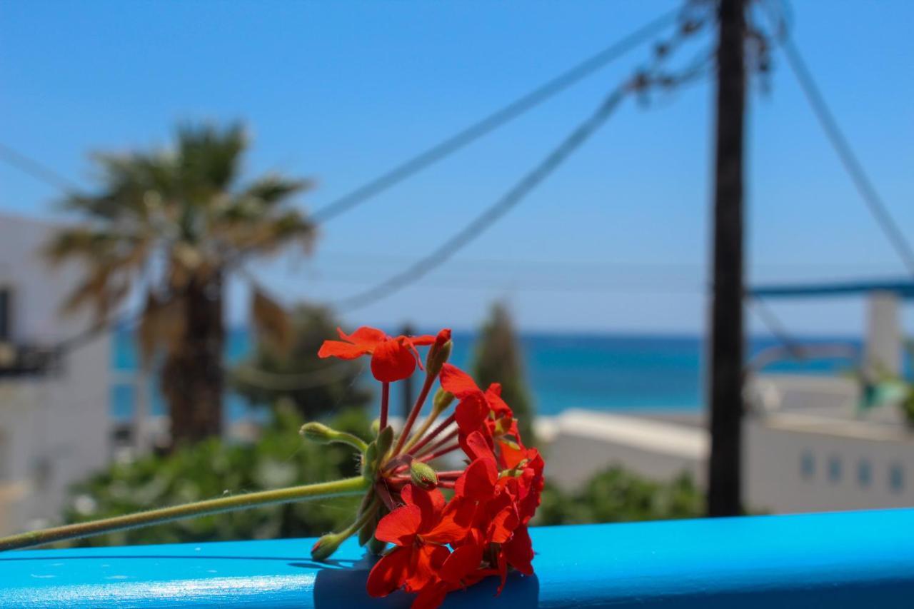 Sea View Apartments & Studios Agia Anna  Exteriör bild