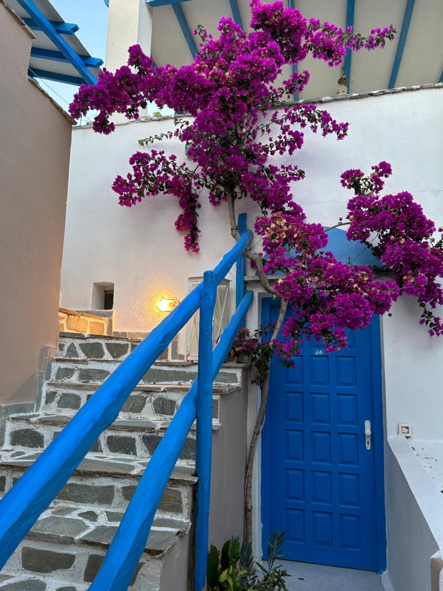 Sea View Apartments & Studios Agia Anna  Exteriör bild