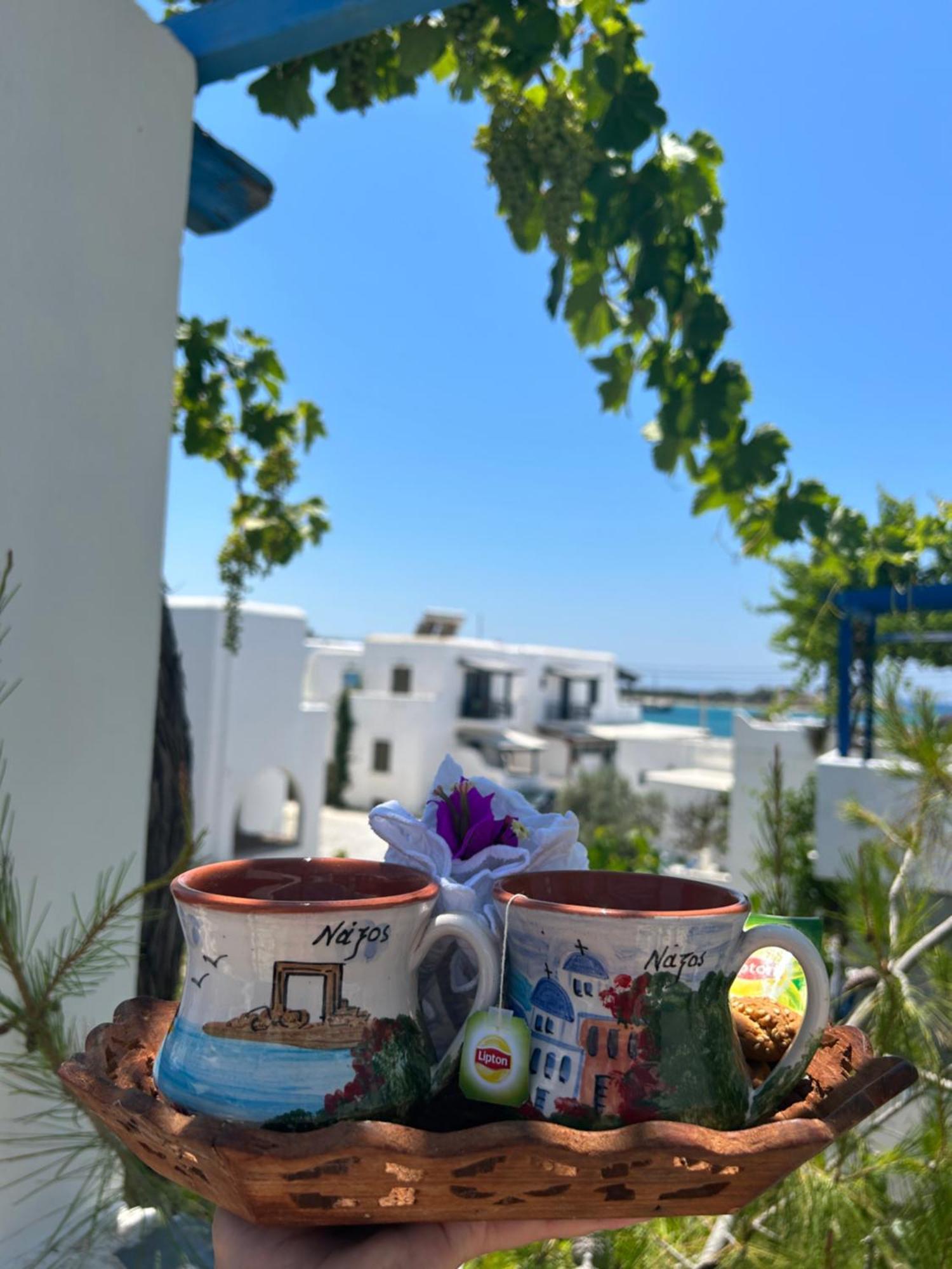 Sea View Apartments & Studios Agia Anna  Rum bild