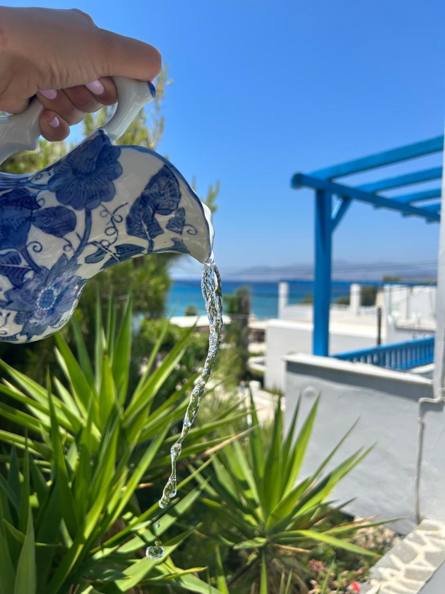 Sea View Apartments & Studios Agia Anna  Rum bild