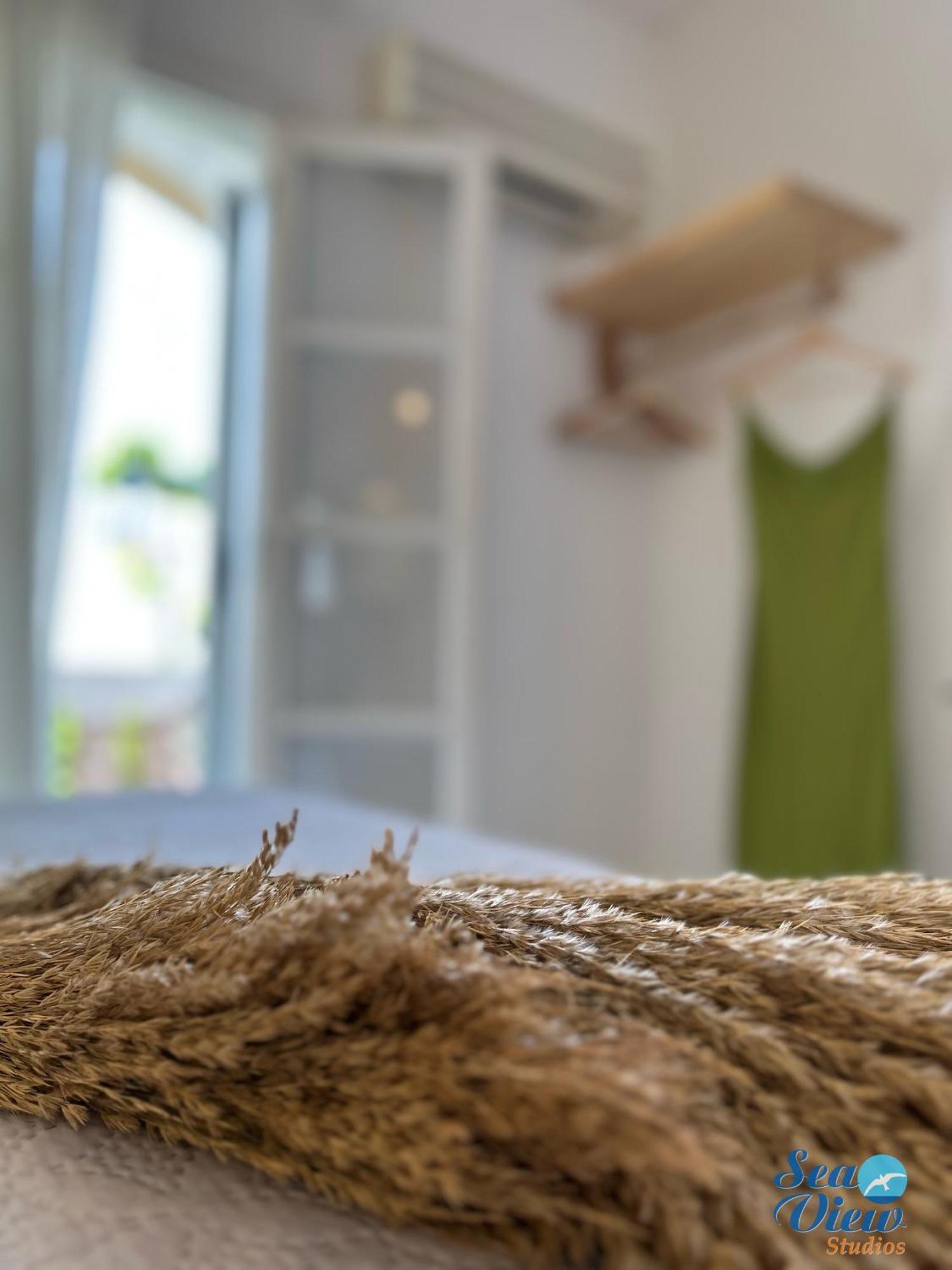 Sea View Apartments & Studios Agia Anna  Rum bild